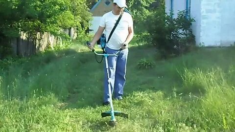 Видео кошу