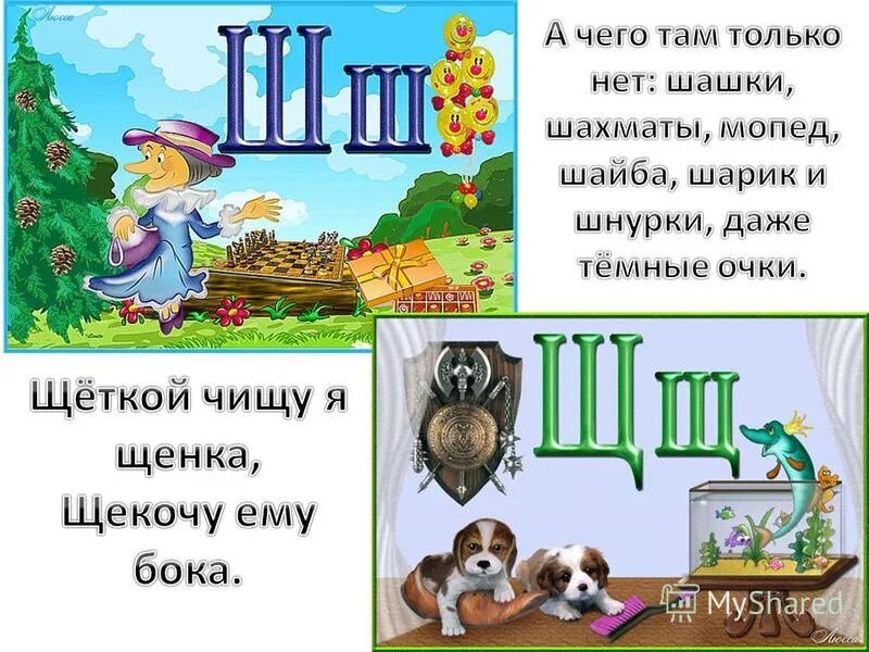 картинка щенка чистят щеткой. щеткой чистят щенка.