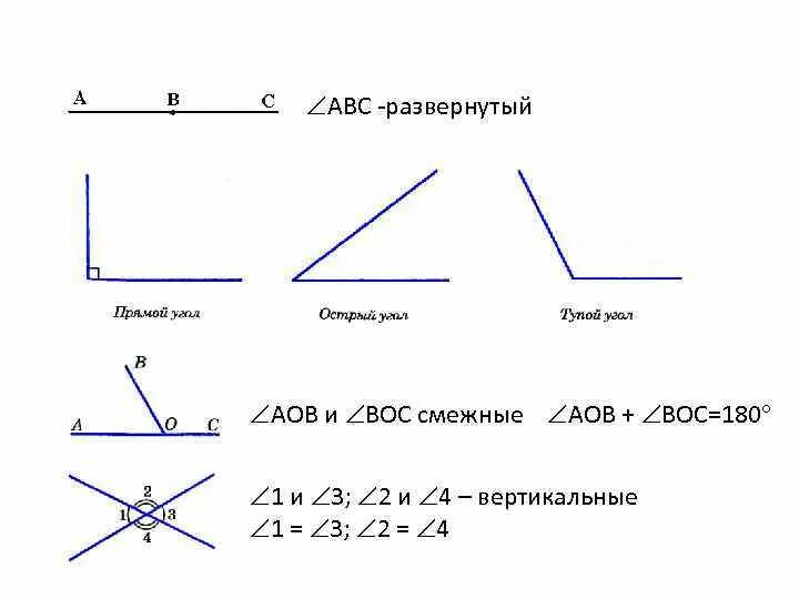 Острые тупые и прямые углы. Прямой острый и развернутый угол.