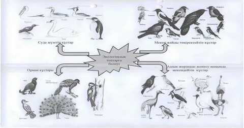 Поляк эротикалық бейне ру