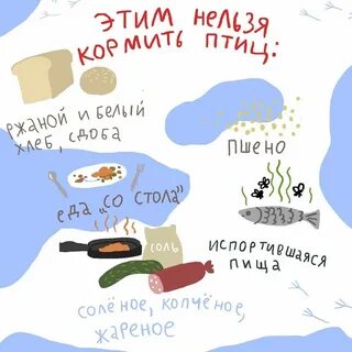 Пшено птицам зимой можно