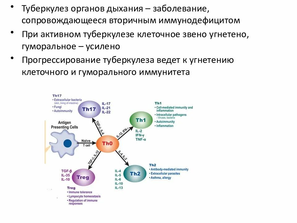 Туберкулез вести. Иммунитет при туберкулезе схема. Определение активности туберкулезного процесса. Клеточный иммунитет при туберкулезе. Иммунный ответ при туберкулезе.