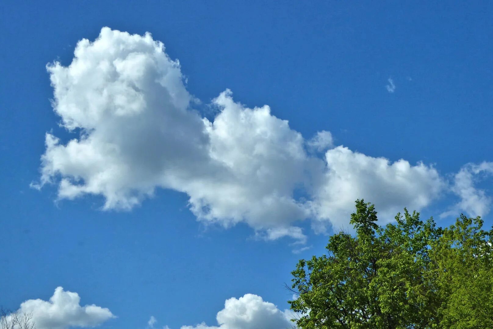 Облачко фото. Облака. Кучевые облака. Небо с кучевыми облаками. Красивые облака.