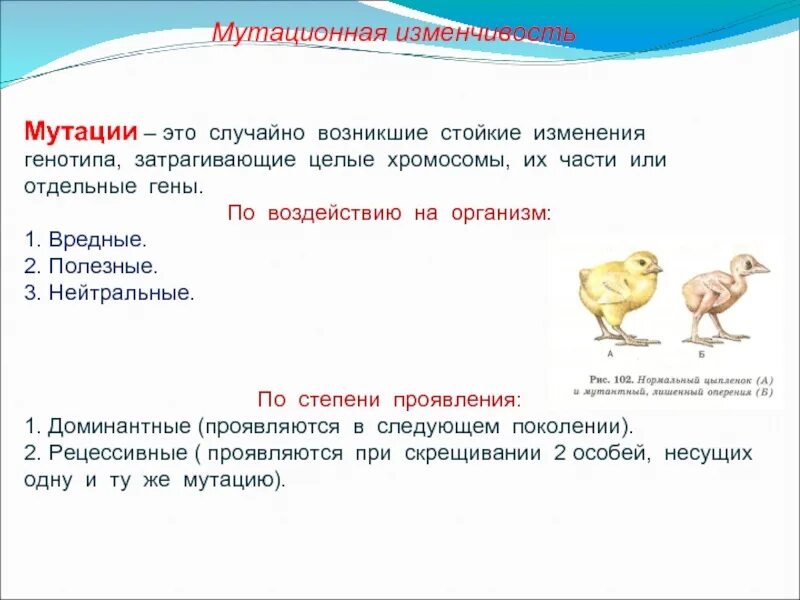 Мутации изменения генотипа. Мутация это изменение генотипа. мутации это случайно возникшие стойкие изменения генотипа. случайно возникшие стойкие изменения в генотипе. мутация это стойкое изменение.