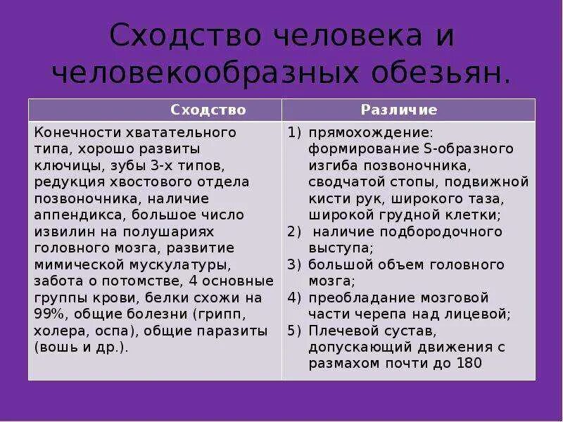 Схожести и различия. В чем сходство и отличие человека и человекообразных обезьян. Черты сходства человека и человекообразных обезьян. Сходства и различия человека от человекообразных обезьян таблица. Черты отличия человека и человекообразных обезьян.