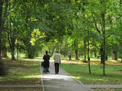 Щелковский городской