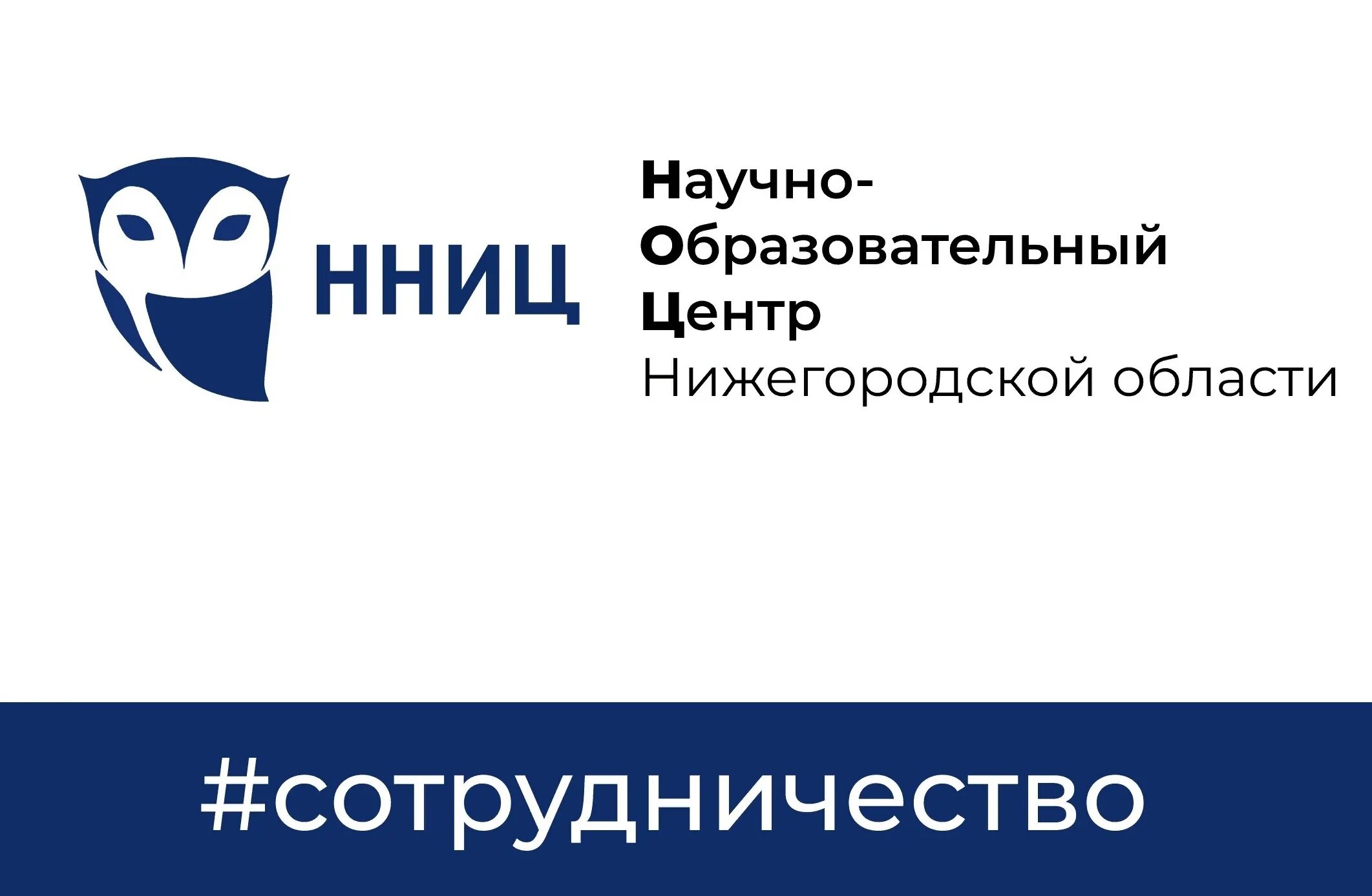 Информационный центр нижний новгород. Гбу дпо нижегородский научно-информационный центр. нижегородский ноц. нижегородский ноц логотип. логотип научного центра.