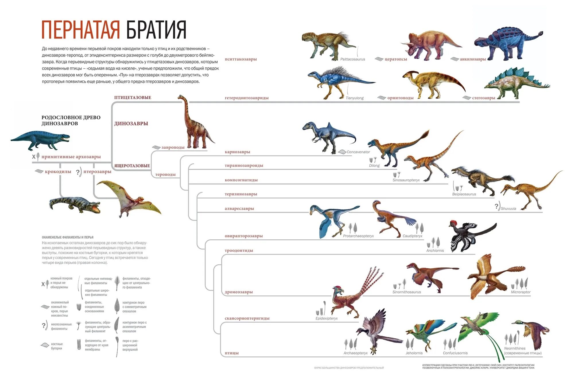 Динозавры развитие