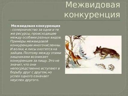 Примерами конкуренции являются отношения между