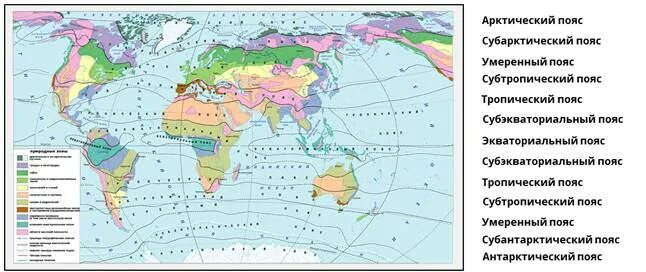 Природные зоны в экваториальном поясе Евразии. Умеренный пояс субтропический пояс субарктический пояс. Природные зоны тропического пояса.