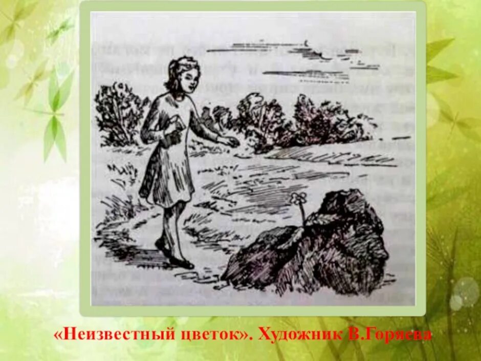 Платонов неизвестный цветок слушать. Художник в Горяева неизвестный цветок. Неизвестный цветок Платонов иллюстрация к сказке. Иллюстрация к рассказу неизвестный цветок Платонов. Рисунок к произведению неизвестный цветок Платонов.