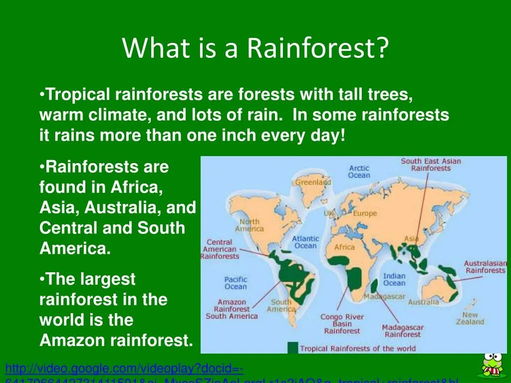 Тема Rainforest. Tropical Rainforest кластер. Конспект урока Tropical Rainforest Spotlight 10. Tropical Rainforest climate текст. Have you been to africa