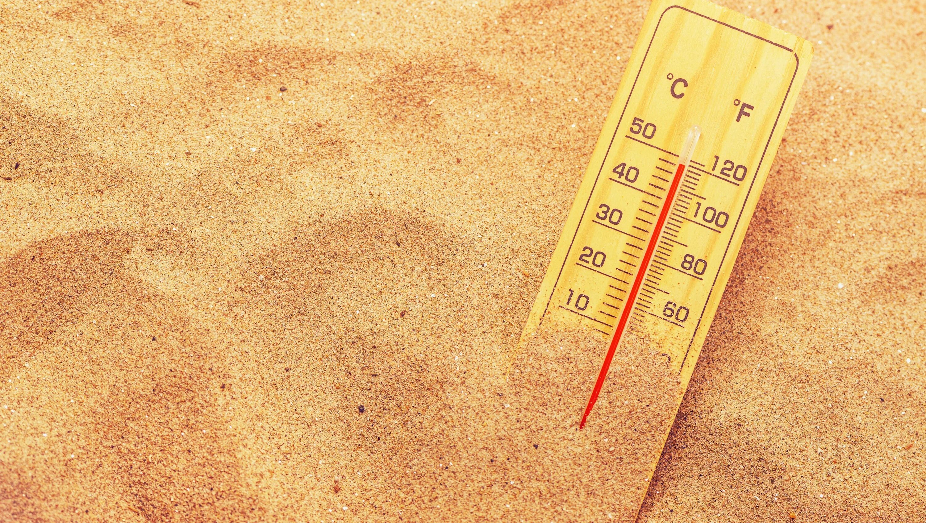 Средняя температура летом в пустыне. Термометр в пустыне. Градусник в пустыне. Жарко градусник в пустыне. Термометр в песке.