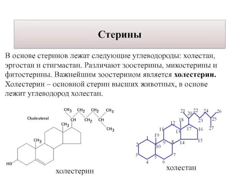 Биологическая роль холестерина. Холестерин химическое строение. Стерины строение. Стерины биохимия формула. Холестерин химическая формула.