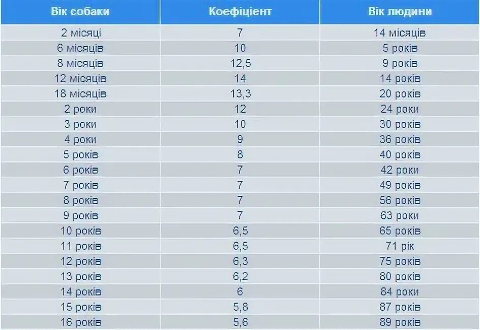 Сколько лет попугаю по человеческим. Возраст птиц по человеческим. Возраст попугая на человеческий. Возраст волнистого попугая по человеческим меркам. Возраст попугая по человеческим меркам таблица.