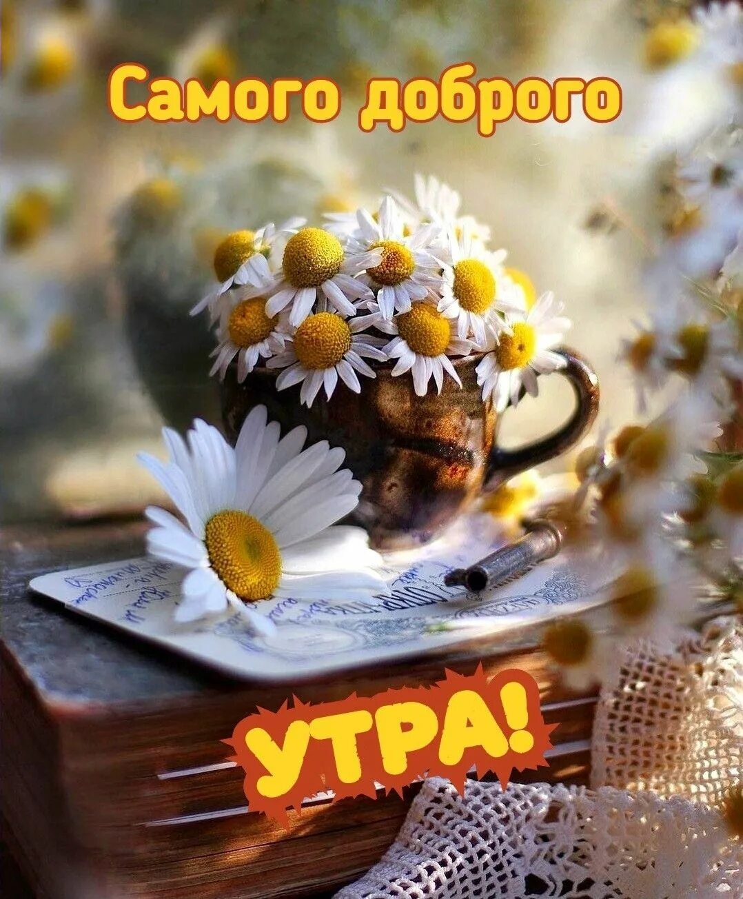 8 сентября утро. Открытки с добрым утром летние. С добрым летним утром. Открытки с добрым утром красивые летние необычные. Доброе летнее утречко.