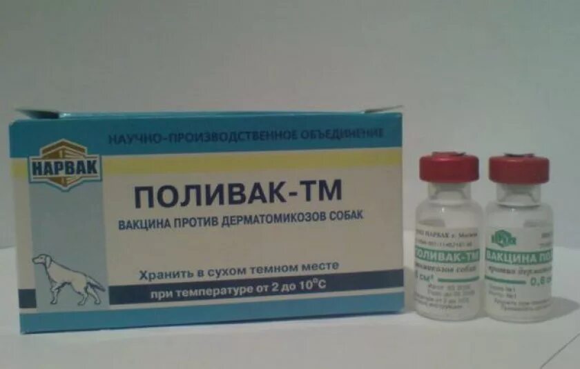 Российские вакцины для собак. Вакцина Поливак ТМ. Вакцина Поливак-ТМ для собак. Поливак-ТМ вакцина для лошадей против дерматомикозов 10 доз. Поливак-ТМ, вакцина против дерматомикозов кошек, 10 доз.