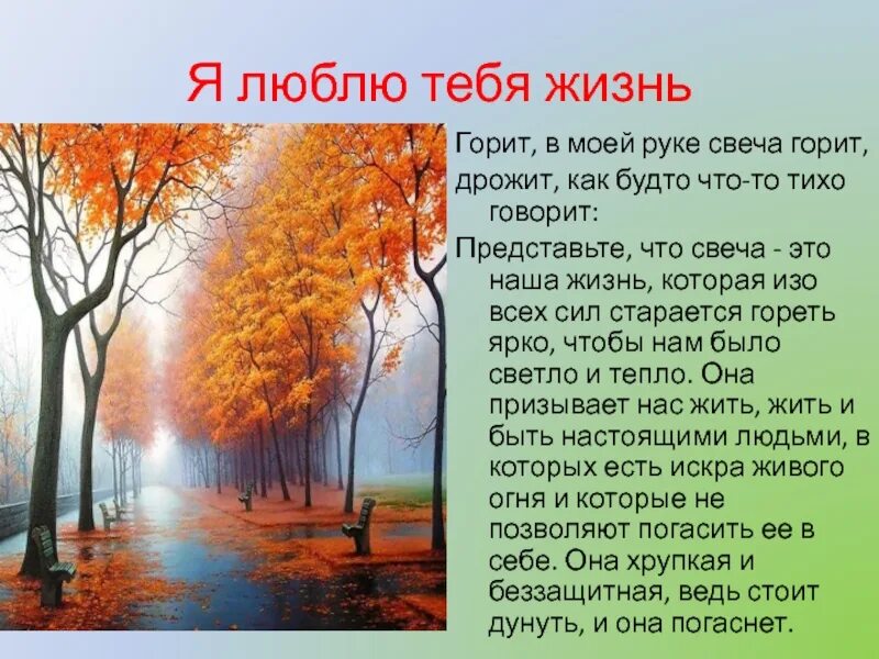 Жить жизнь текст песни. Стихотворение я люблю тебя жизнь. Я люблю жизнь стихи. Стихи на тему я люблю тебя жизнь. Я люблю тебя жизнь стихи.