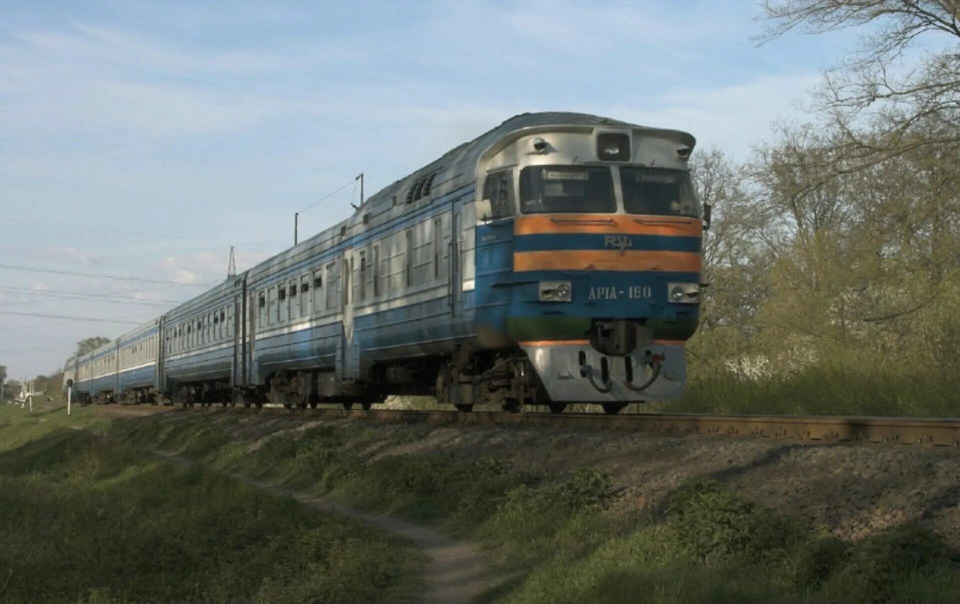 Встречные поезда. Дпм 1 дизель поезд. Дпм1 новомосковск. Поезд москва брест 028. Дизель поезд др1а ржд.