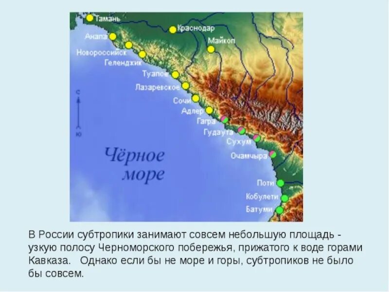 Природные зоны черного моря