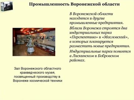 Ведущая отрасль воронежской промышленности