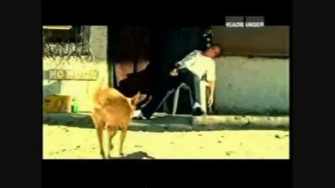 Korn word up перевод