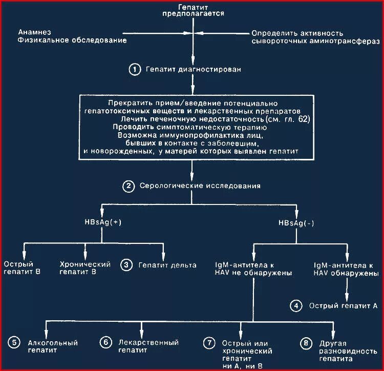 Какая форма гепатита. Виды вирусных гепатитов. Типы вирусных гепатитов. Различия типа гепатит в. Виды гепатитов таблица.