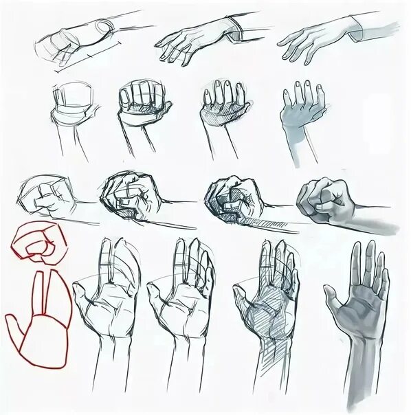 Включи сами начинают руки рисовать. Кисть руки рисунок. Уроки рисования рук. Руки пошагово карандашом. Поэтапное рисование кисти руки.