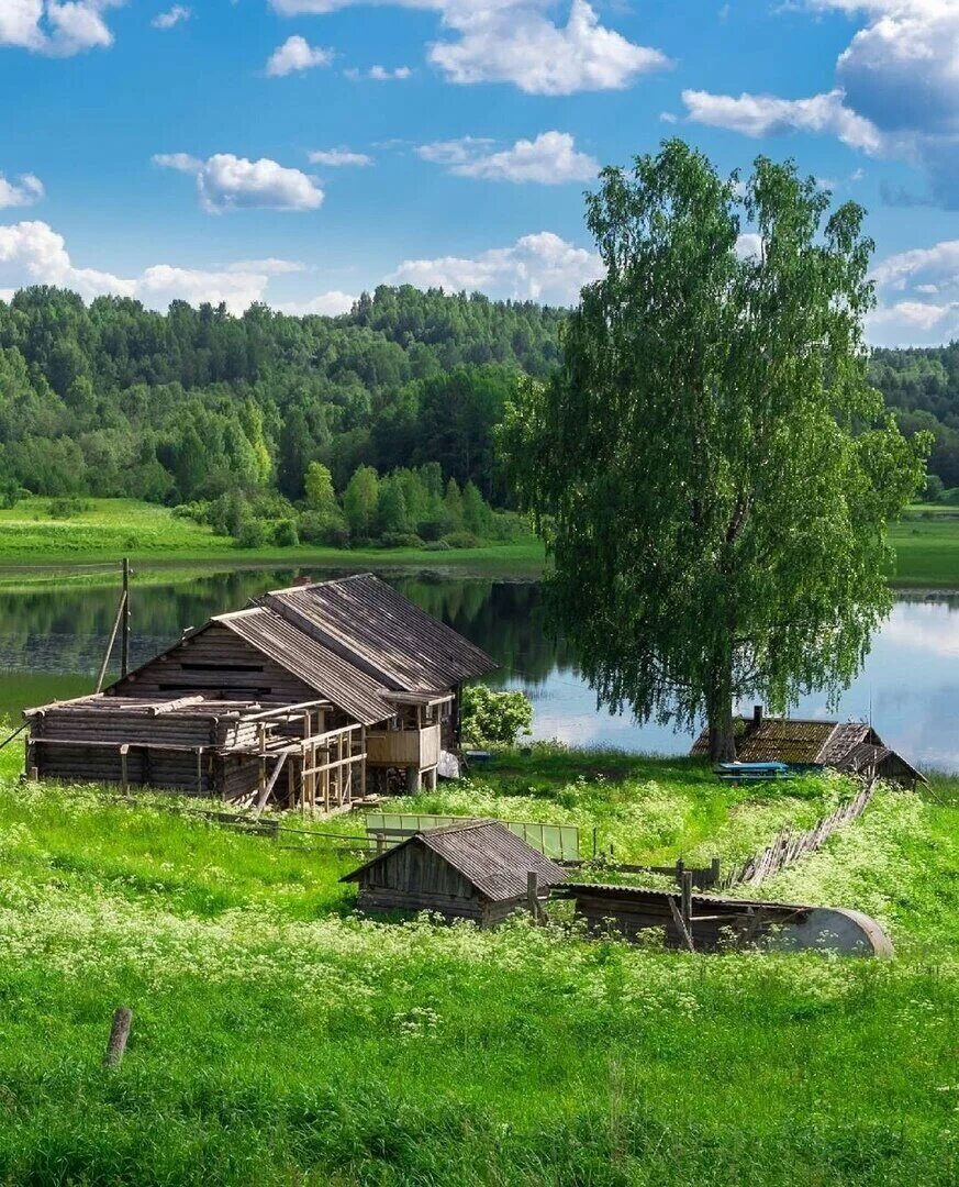 Село это прекрасно. Вайб деревни. Село это прекрасно. Шелота вологодская область. Природа тамбовского края.