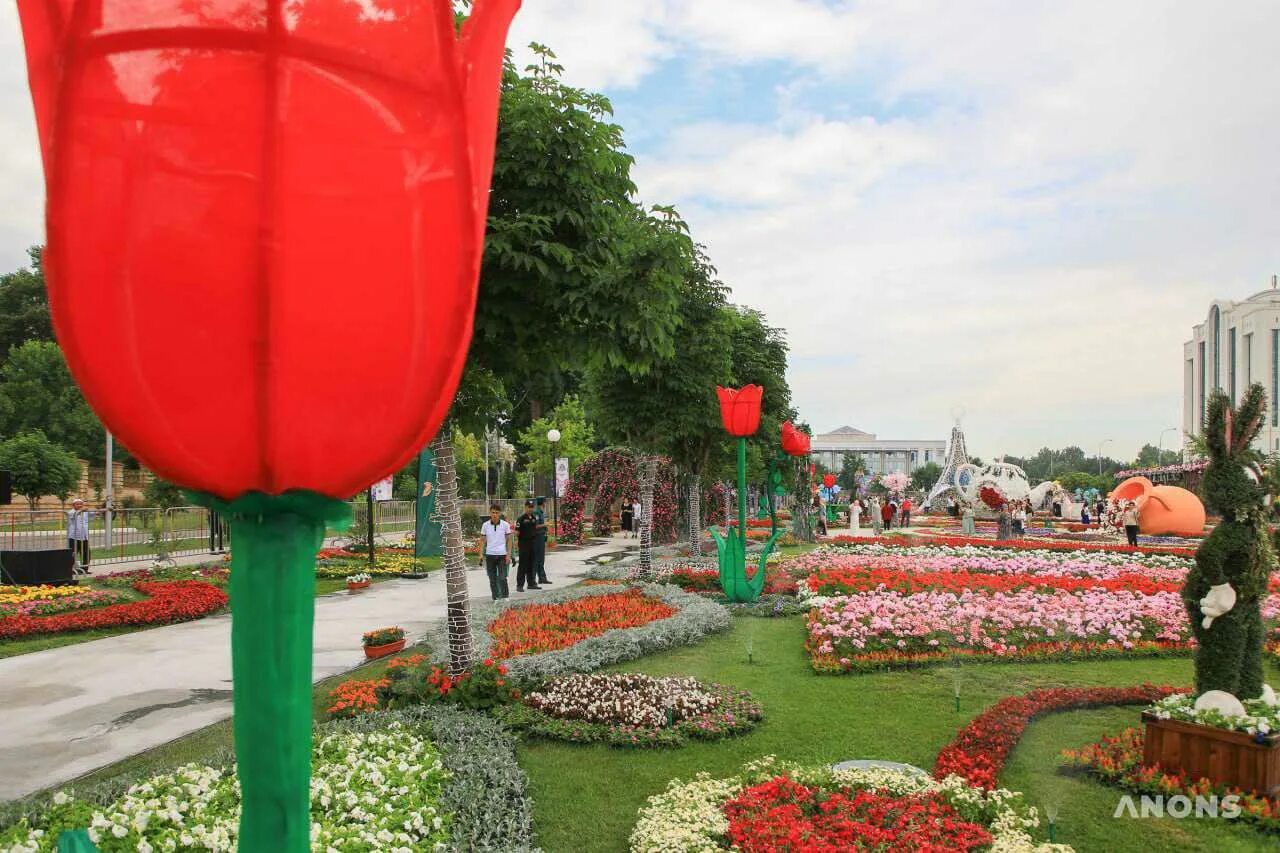 Цветущий ташкент. Tashkent Flower Festival 2022. Tashkent Flower Festival 2023. Наманган фестиваль цветов 2022. Фестиваль цветов в Ташкенте 2022 года.