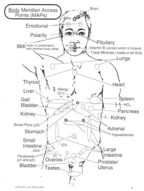 Access body