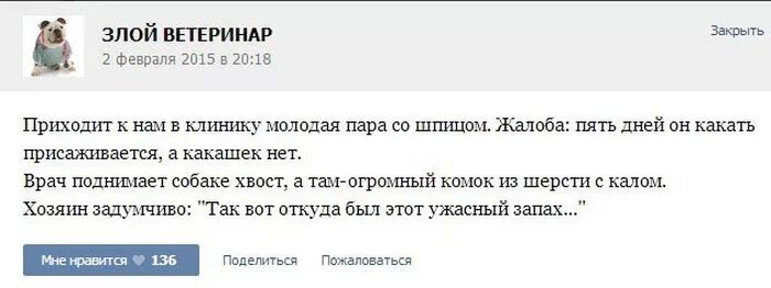 Анекдоты ветеринара. Шутки про ветеринарных врачей. Приходит ветеринар к врачу. Анекдот про ветеринара и терапевта. Анекдоты про ветеринарную клинику.