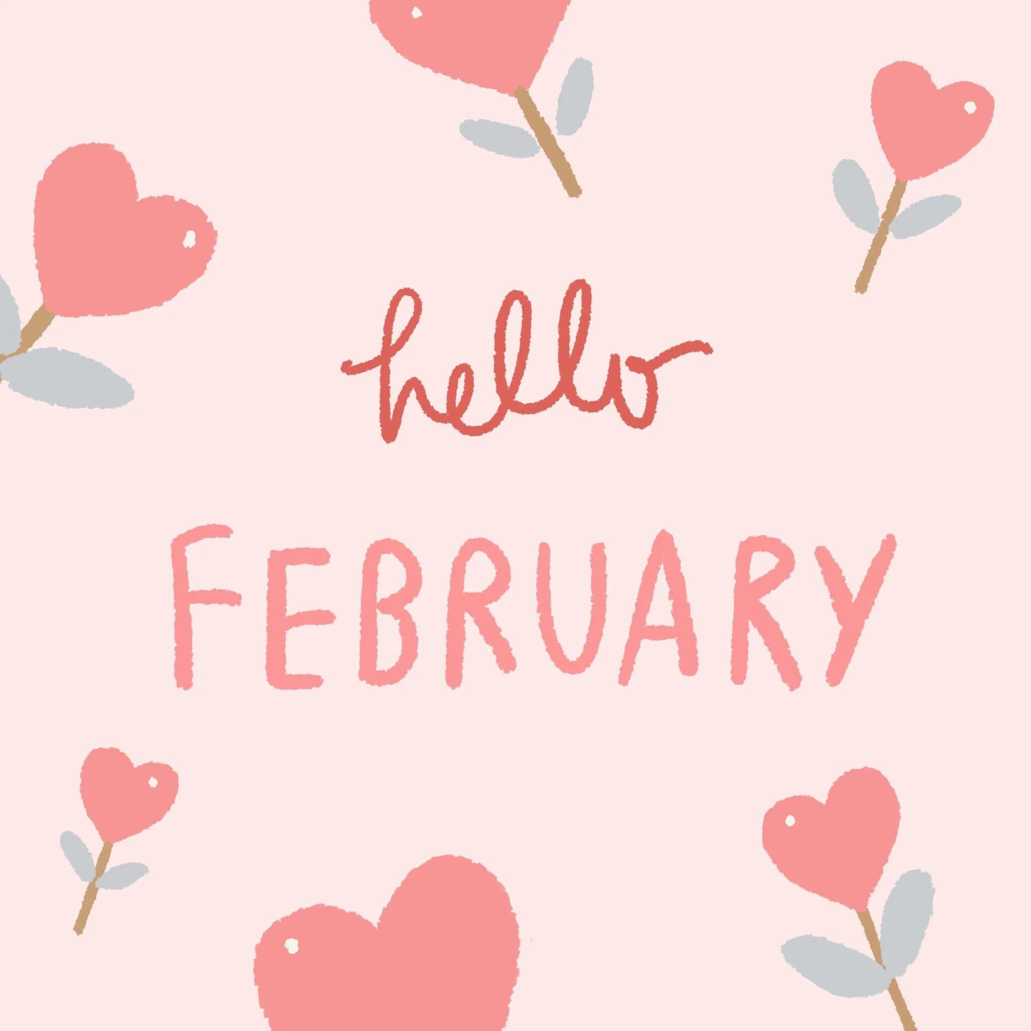 Hello February картинка. Обои hello February. Заставка hello February. Hello February красивые картинки. Hello february