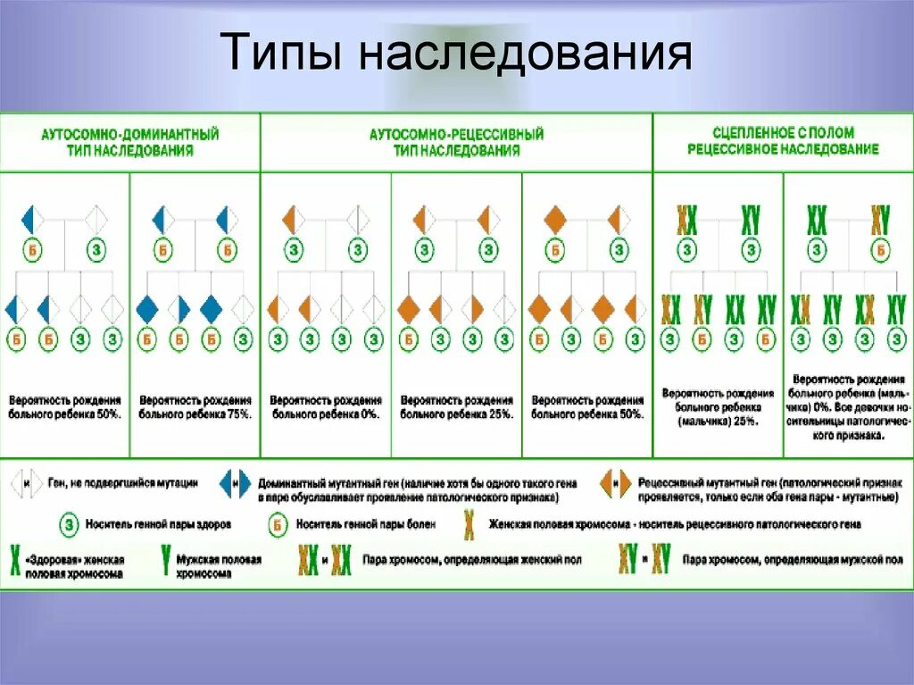 Заболевание y сцепленное рецессивное. Основные типы наследования генов. 6 Типов наследования в генетике. Типы наследования признаков генетика. Типы наследования признаков в генетике таблица.