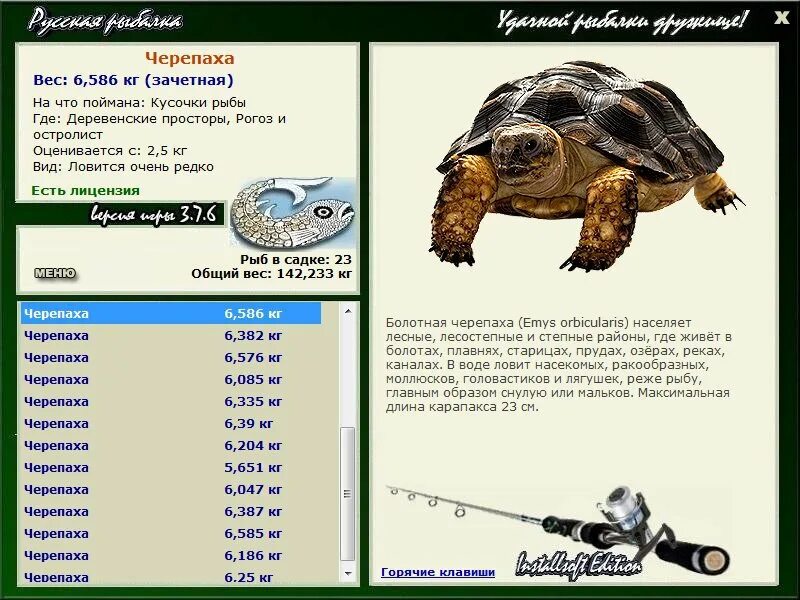 сколько весит средняя черепаха. сколько весит средняя черепаха. вес черепахи. сколько весит черепаха. черепаха с длинным хвостом.