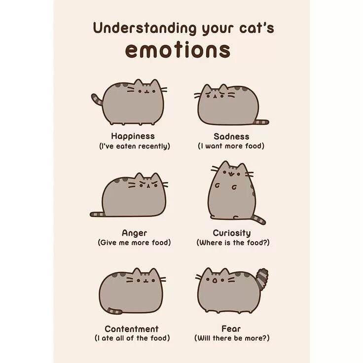 Your cat s. Постер Пушин. Cat emotions. Расшифровка эмоций кота. Постер Пушин Кэт.