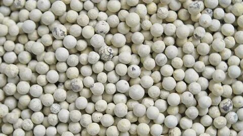 White pepper