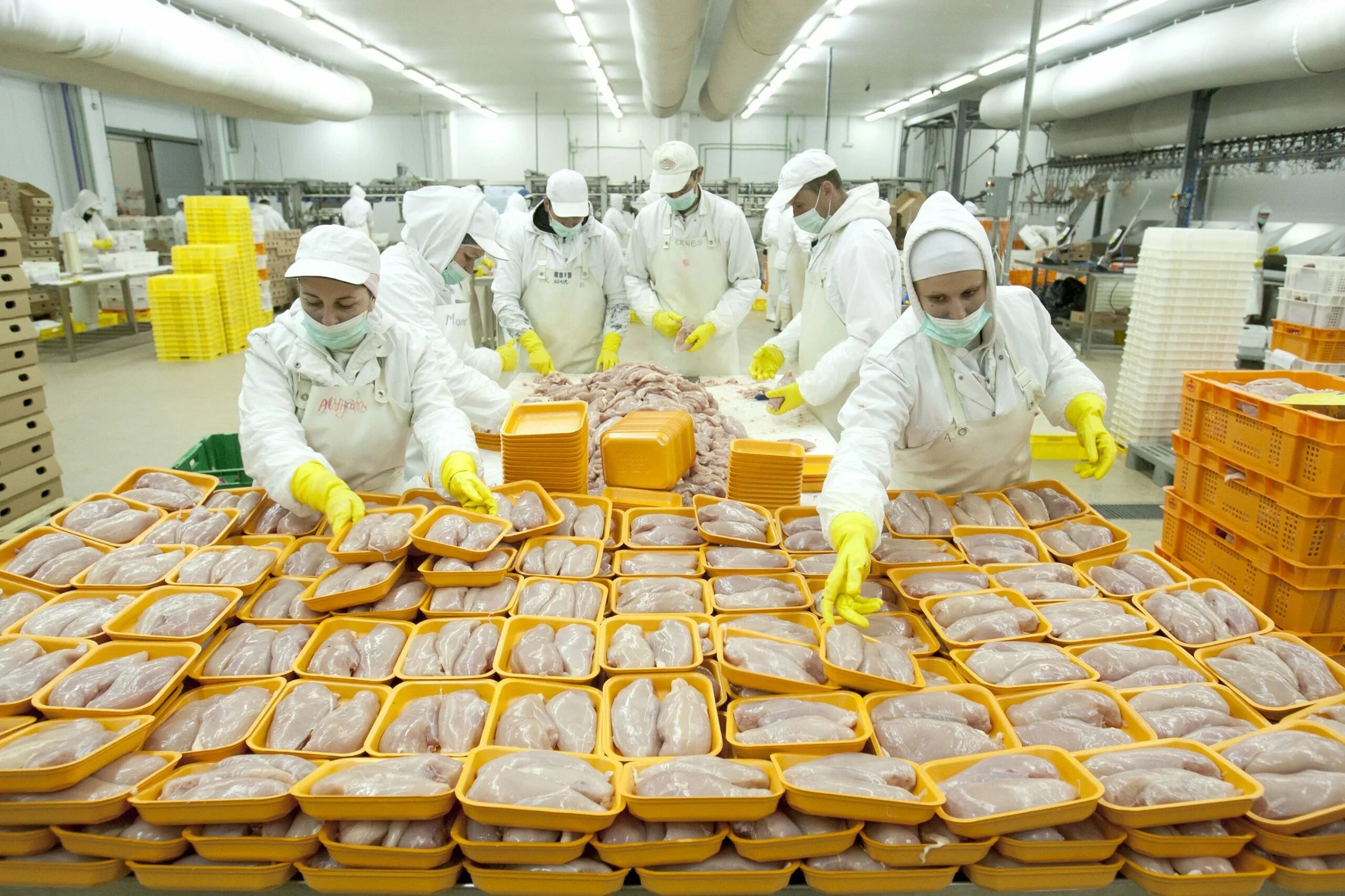 Молочный завод савушкин. Производство продуктов сайт. Пищевая промышленность. Производство продуктов сайт. Производство продуктов сайт.