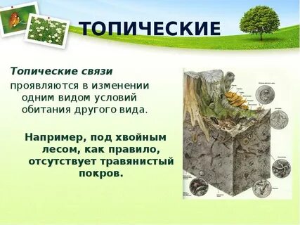 Взаимодействие живого и среды обитания