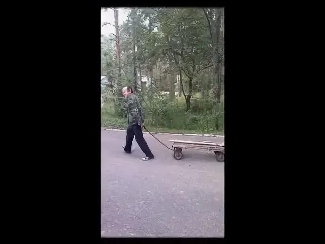 Под шафе песня. Под шафе песня