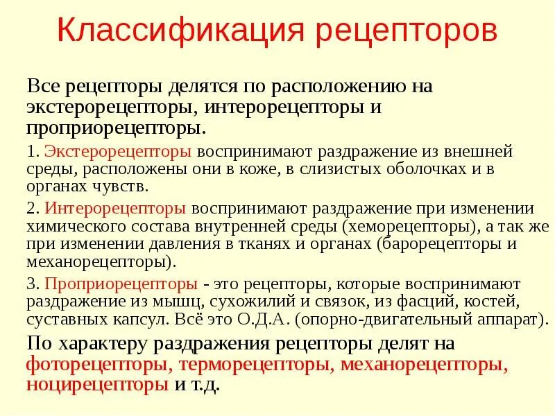 Классификация рецепторов и их функции. Классификация рецепторов физиология. Классификация рецепторов сенсорных систем физиология. Классификация рецепторов по локализации.