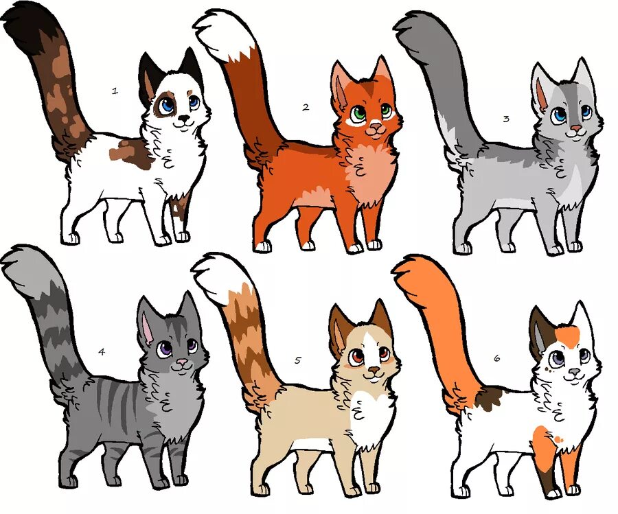 Кошка рисунок. Рисуем кошку. Адопты кошек набросок. Шесть кошек.