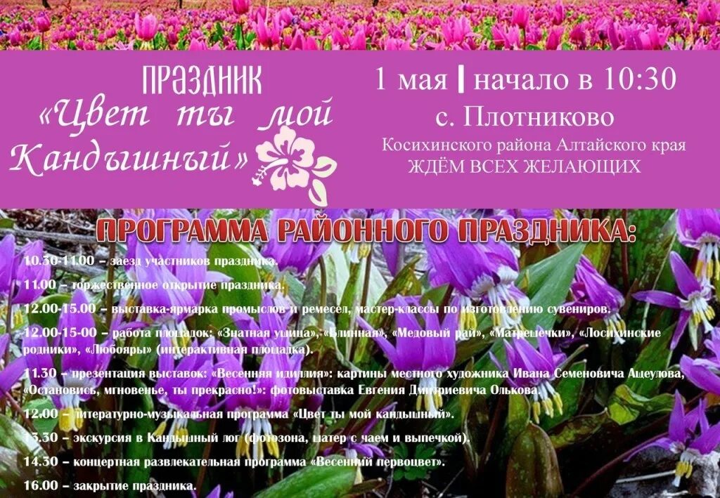 Цвет ты мой кандышный. Магазин цветы Родники. Погода в Плотниково Косихинского района Алтайского края на неделю. Погода в плотниково алтайский край косихинский