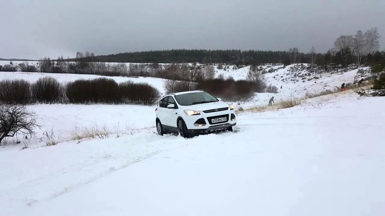 Тест драйв куга. Куга Наволок. Форд Куга в сугробе. Ford Kuga Корсаков погоня. Фото Тюмени зимой с Форд Куга 1.