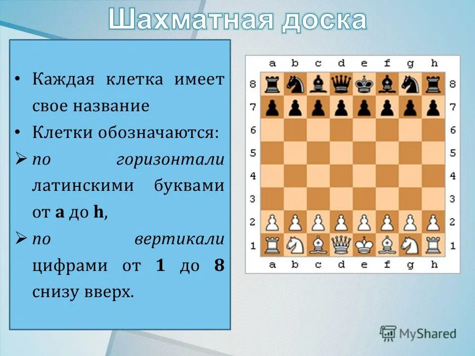 минимальное возможное кол во бит. каждая клетка поля 8 8. задачи на закрашивание клеток в квадрате. каждая клетка поля 8 8. каждая клетка поля 8 8.