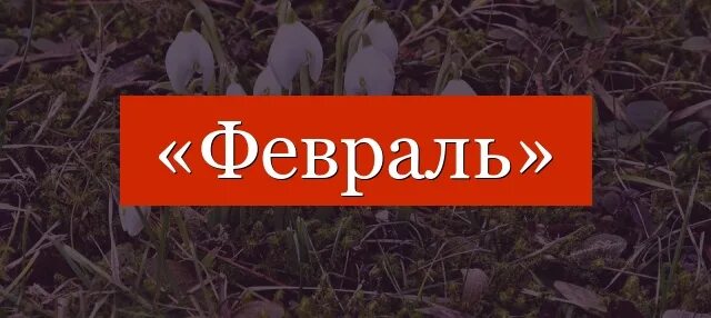 6 февраля словами. Слово февраля. Надпись слова февраля. Слова февраля буквами. Февраль слово на черном фоне.