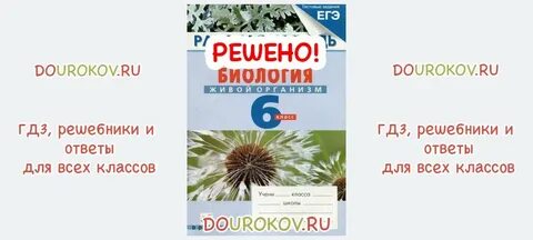 Биология 6 класс рабочая программа 2023 2024