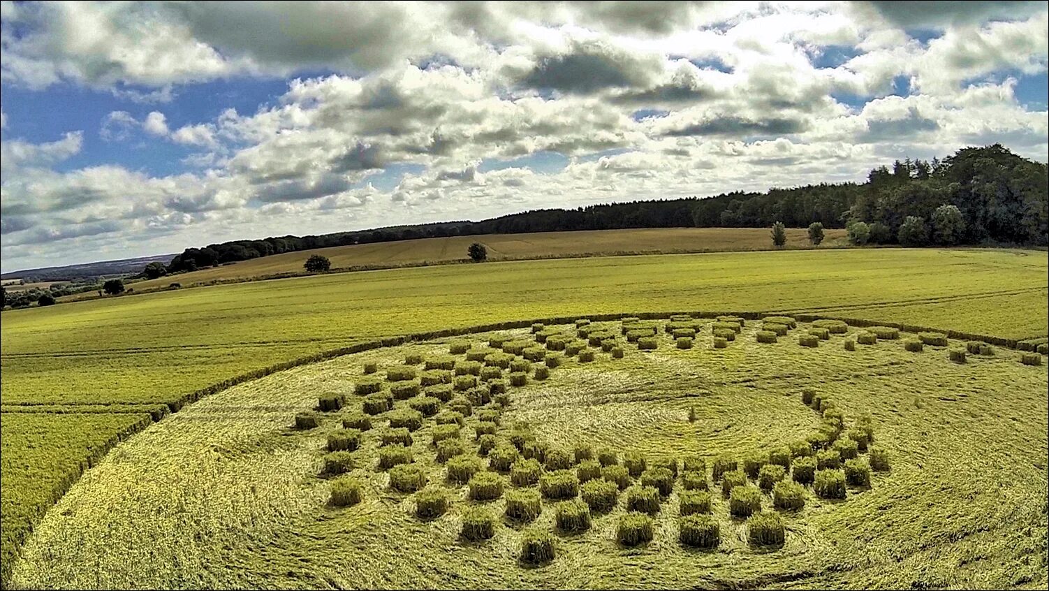 Круги на кукурузных полях. Круги на полях 2021 года. Круги на полях 2022 англия. Узоры на полях. Круги на полях в англии.