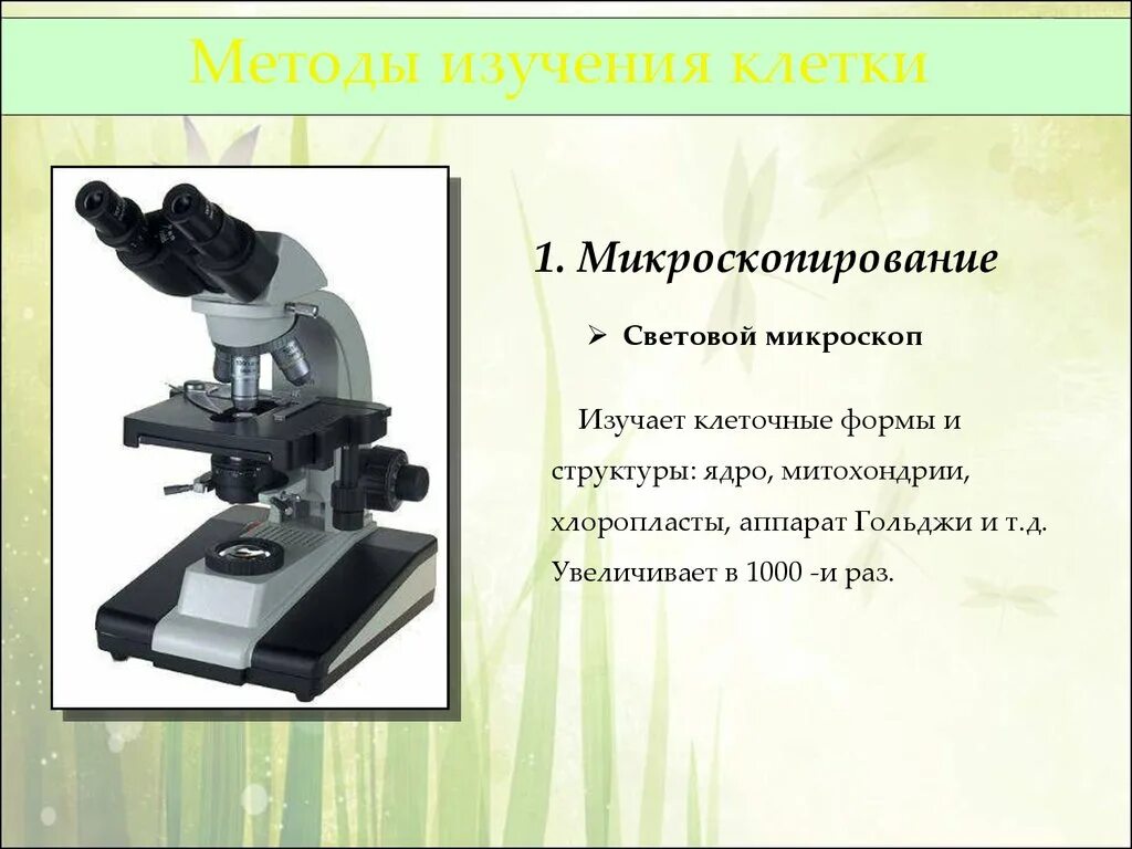 Световой микроскоп. Методы изучения клетки. Изучение клетки световое микроскопирование. Световой биологический микроскоп.