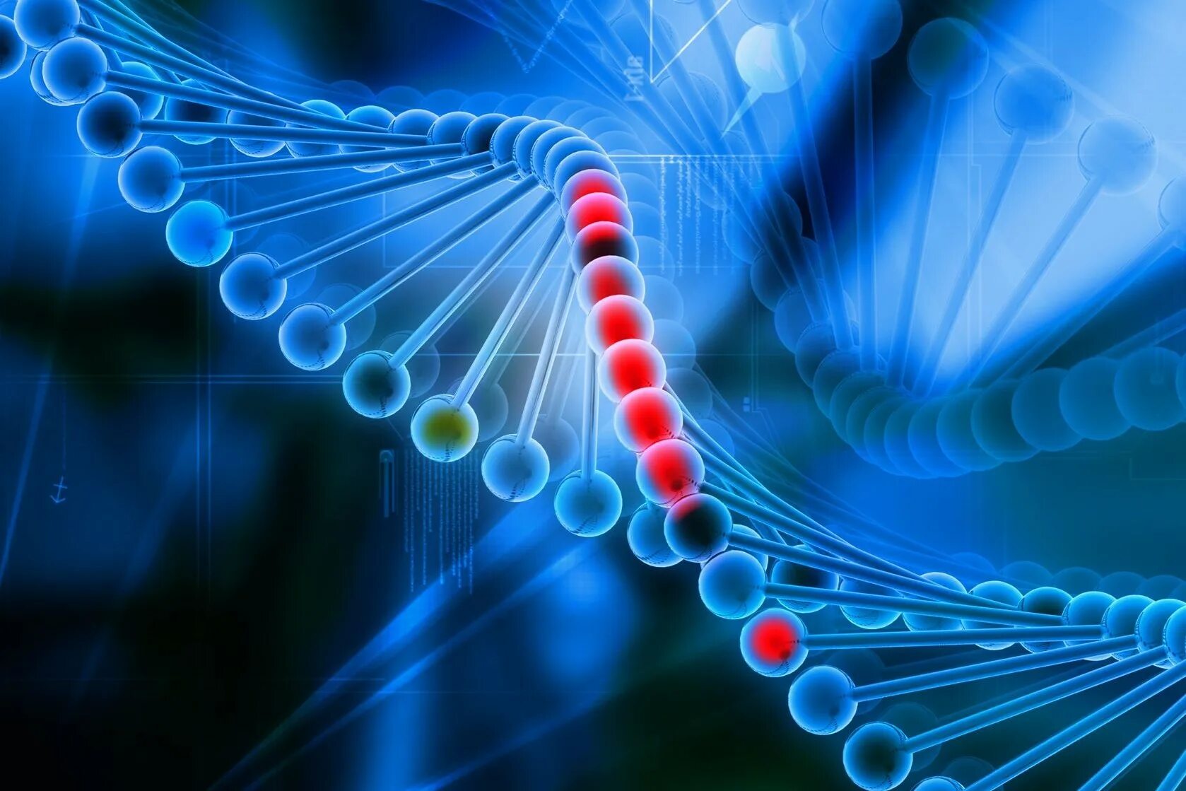 Genes development